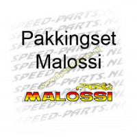 Pakkingset Malossi - Gilera & Piaggio 47.6 LC